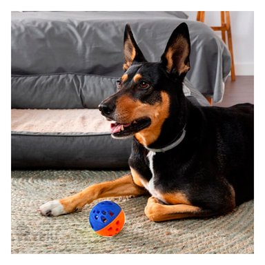 JUGUETE PLASTICO PERROS Y GATOS MA30035 RYBIU AZUL Y NARANJA +STICKERS