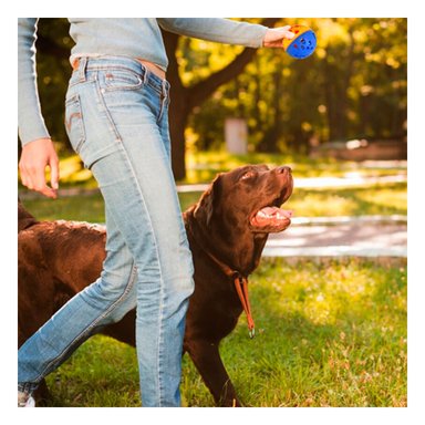 JUGUETE PERROS Y GATOS MA30035 RYBIU SENCILLO DE LAVAR EN AZUL Y NARANJA +AGENDITA