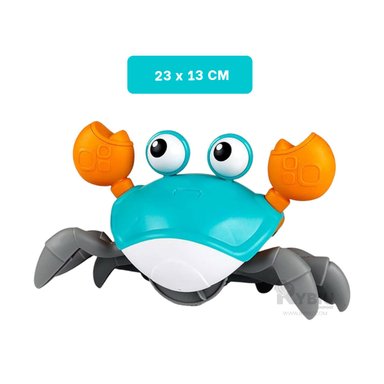 CANGREJO PLAYERO A CUERDA EN COLOR CELESTE Y+REGALO STICKERS - 5