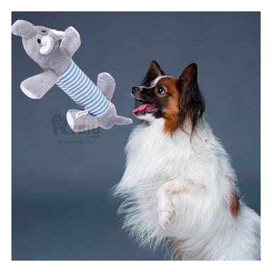 JUGUETE PERROS MA29953 RYBIU DURADERO Y LIGERO PLOMO +AGENDITA