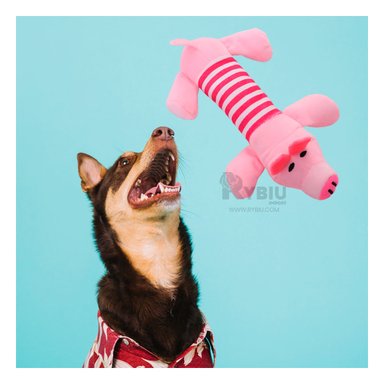 JUGUETE MASTICABLE PERROS MA29952 RYBIU SUAVE EN ROSADO Y FUCSIA +STICKERS