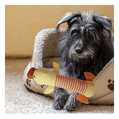 PELUCHES  PERRO MA29951 MARRON +PAPEL DE REGALO RYBIU