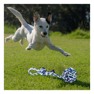 JUGUETE CUERDA ALGODÓN PERROS MA29944 RYBIU TONO AZUL CON CELESTE +PAPEL DE REGALO