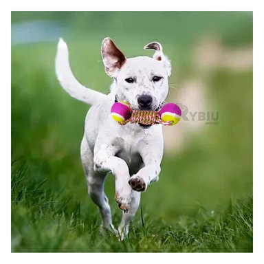 PELOTAS TENIS ALGODÓN PERROS MA29943 RYBIU CON CUERDA DE COLOR ROSADO 2 UNIDADES