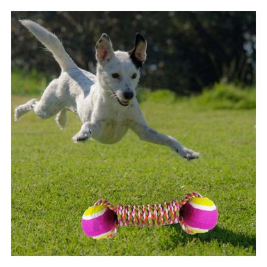 JUGUETE CUERDA ALGODÓN PERROS MA29943 RYBIU Y PELOTA EN TONO ROSADO +PAPEL DE REGALO