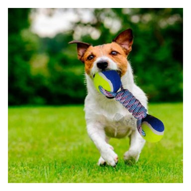 JUGUETE ALGODÓN PERROS MA29942 RYBIU PORTATIL PET EN TONO AMARILLO +PAPEL DE REGALO