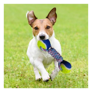 JUGUETE CON CUERDA ALGODÓN PERROS MA29942 RYBIU RESISTENTE AMARILLO +AGENDITA