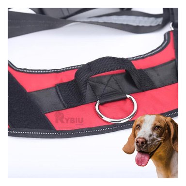 CORREA PERROS MA30963 RYBIU CON AGARRE SEGURO EN COLOR ROJO Y+POST-IT ADHESIVOS