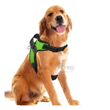 CORREA PERROS MA30962 RYBIU PERFECTA PARA CANES EN VERDE Y+POST-IT ADHESIVOS