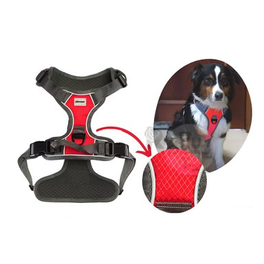 CORREA PERROS MA30094 RYBIU RESISTENTE EN TALLA S DE COLOR ROJO Y+