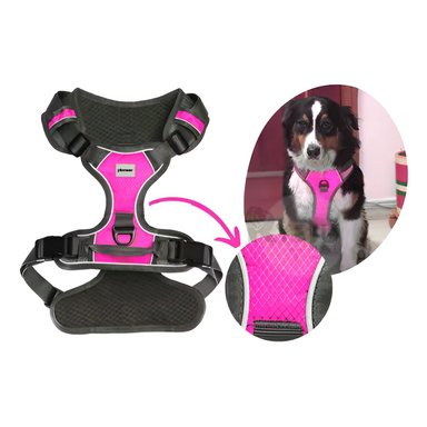 CORREA PERROS MA30093 RYBIU RESISTENTE EN TALLA S DE COLOR FUCSIA Y+