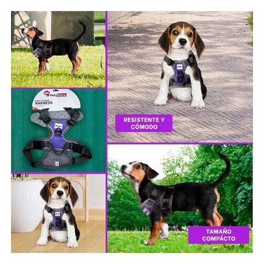 CORREA PERROS MA30090 RYBIU RESISTENTE EN TALLA S DE COLOR MORADO Y+ - 5