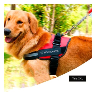 SOGA PERROS MA30990 RYBIU PARA IDEAL EN ROJO XXL Y+POST-IT ADHESIVOS