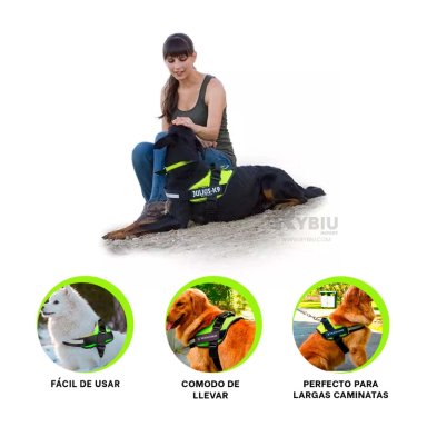 SOGA PERROS MA30989 RYBIU PARA IDEAL EN VERDE XXL Y+POST-IT ADHESIVOS