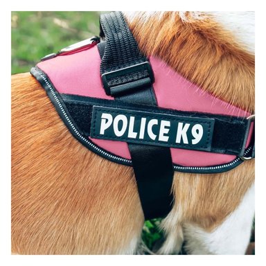 SOGA PERROS MA30988 RYBIU PARA IDEAL EN ROSADO XXL Y+POST-IT ADHESIVOS - 2