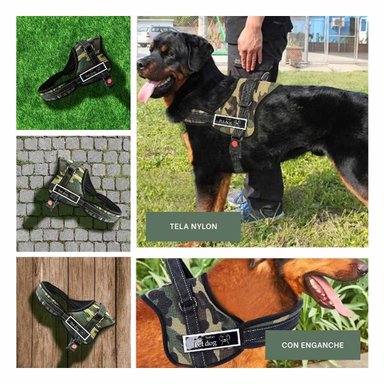 CORREA PERROS MA30945 RYBIU DISEÑO EJERCITO VERDE OSCURO Y+POST-IT ADHESIVOS - 5