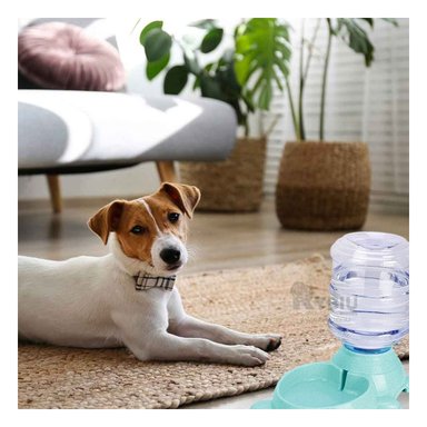 COMEDERO PERRO MA31009 RYBIU MASCOTAS PRACTICO VERDE + AGENDITA