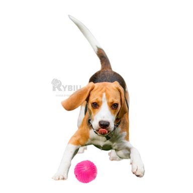 BALON PERROS MA29080 RYBIU FACIL DE LLEVAR EN TONO ROSADO +POST-IT ADHESIVOS