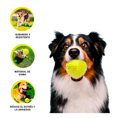 JUGUETE PERROS MA29079 RYBIU COMPACTO EN COLOR VERDE LIMON +POST-IT ADHESIVOS