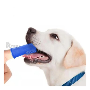 LIMPIEZA BUCAL PERRO Y GATO RYBIU MA29502 SET MASCOTAS AZUL + POST-IT ADHESIVOS