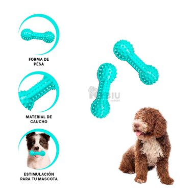 HUESO PERROS MA29645 RYBIU RECREATIVO VERDE AGUA +POST-IT ADHESIVOS