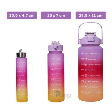 BOTELLA RYBIU CO29599 TRIO GYM TAPA MORADO + REGALO LIGAS PEINAR