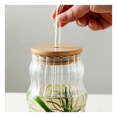 VASIJA COPON CURIOSO RYBIU CO32133 TRANSPARENTE +GIFT STICKERS