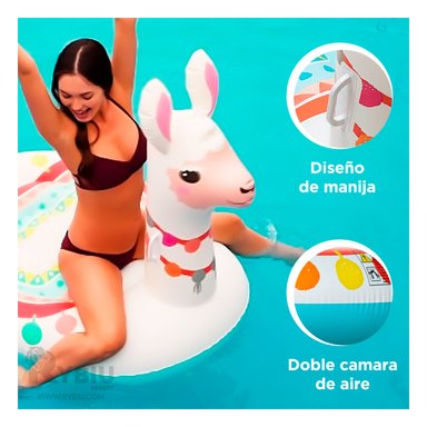 FLOTANTE UTIL ERGONOMICO LANGOSTA Y+REGALO LIGAS PARA PEINAR - 1