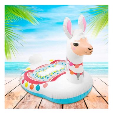 FLOTANTE UTIL ERGONOMICO LANGOSTA Y+REGALO LIGAS PARA PEINAR - 4