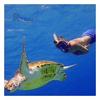 VISOR NATACIÓN RYBIU MG-BHC01-F AVENTURA PROFUNDA NEGRO + GIFT MINIAGENDA