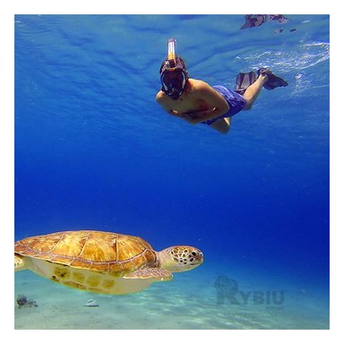 VISOR NATACIÓN RYBIU MG-BHC01-F AJUSTE IDEAL NEGRO + REGALO STICKERS