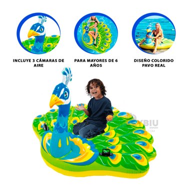 FLOTANTE ERGONOMICO DE PAVO Y+BANDERITAS ADHESIVAS - 3