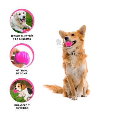 JUGUETE PERROS RYBIU GOMA ROSADO + ENVOLTORIO REGALO