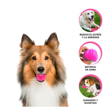 JUGUETE PERROS RYBIU LA ANSIEDAD EN ROSADO + AGENDITA