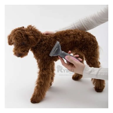 PEINE RYBIU MA29632 DESPRENDE NUDOS MASCOTAS EN ROSADO + MINIAGENDA