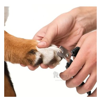 ALICATE RYBIU MA29635 CORTE UÑAS CANINO PLOMO + STICKERS