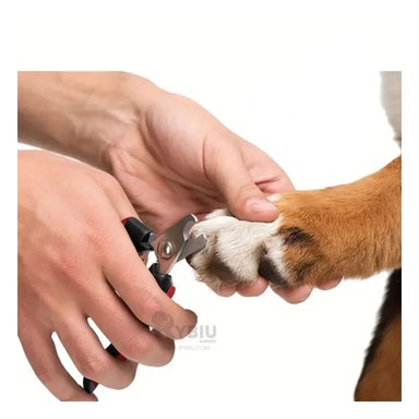 CORTAUÑAS RYBIU MA29634 CORTAUÑA FUNCIONAL PERRO EN ROSADO + PAPEL REGALO - 3