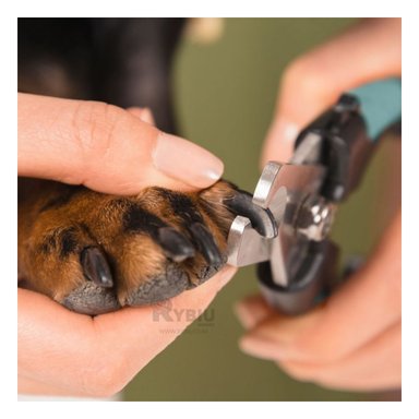 ALICATE RYBIU MA29636 IDEAL UÑAS PET EN VERDE + ENVOLTORIO REGALO