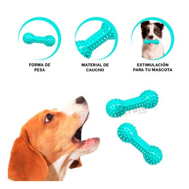 ARTICULO JUEGO PERROS RYBIU VERDE AGUA + AGENDITA