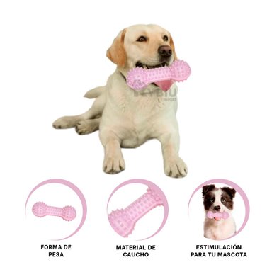 HUESO RYBIU DIVERSION EN FORMA PESA ROSADO + STICKERS