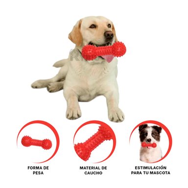 ARTICULO PERROS RYBIU DIVERSION EN FORMA PESA ROJO + STICKERS