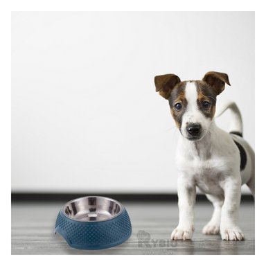 PLATO RESISTENTE PARA GATO EN AZUL OSCURO Y+PAPEL DE REGALO