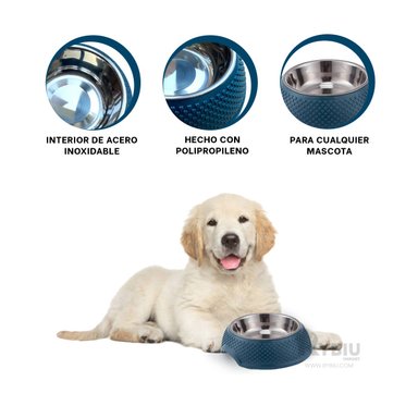 PLATO RESISTENTE PARA GATO EN AZUL OSCURO Y+PAPEL DE REGALO - 3