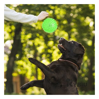 SET PERROS Y GATOS RYBIU DURADERO PELOTITAS LED EN VERDE + PAPEL REGALO