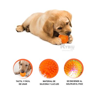 CONJUNTO MASCOTA RYBIU DIVERTIDO ARANJADO + POST-IT ADHESIVOS