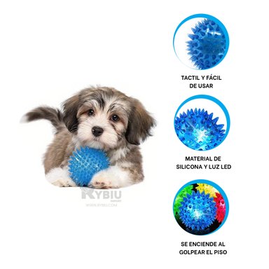 KIT PERROS Y GATOS RYBIU ESTIMULATIVO JUGAR CELESTE + REGALO AGENDITA
