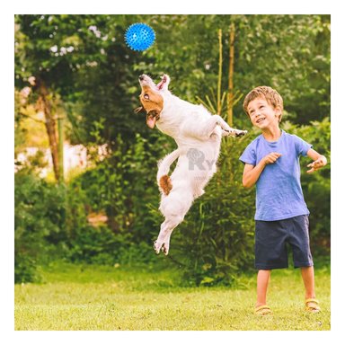 KIT PERROS Y GATOS RYBIU ENTRETENIDO BOLITAS LED EN CELESTE + GIFT MINIAGENDA