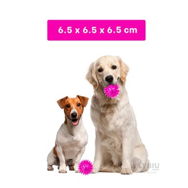 PACK PERROS Y GATOS RYBIU DIVERTIDO 3 PELOTAS ROSADO + LIGAS REGALO