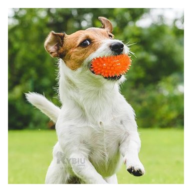 KIT PERROS RYBIU TRIO BOLAS LED NARANJA + REGALO STICKERS