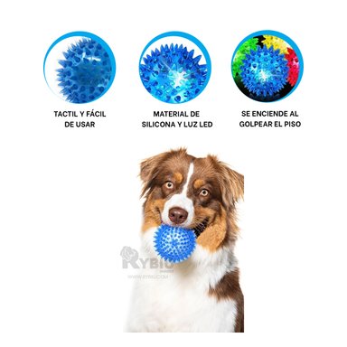 CONJUNTO MASCOTA RYBIU DIVERTIDO CELESTE + POST-IT ADHESIVOS